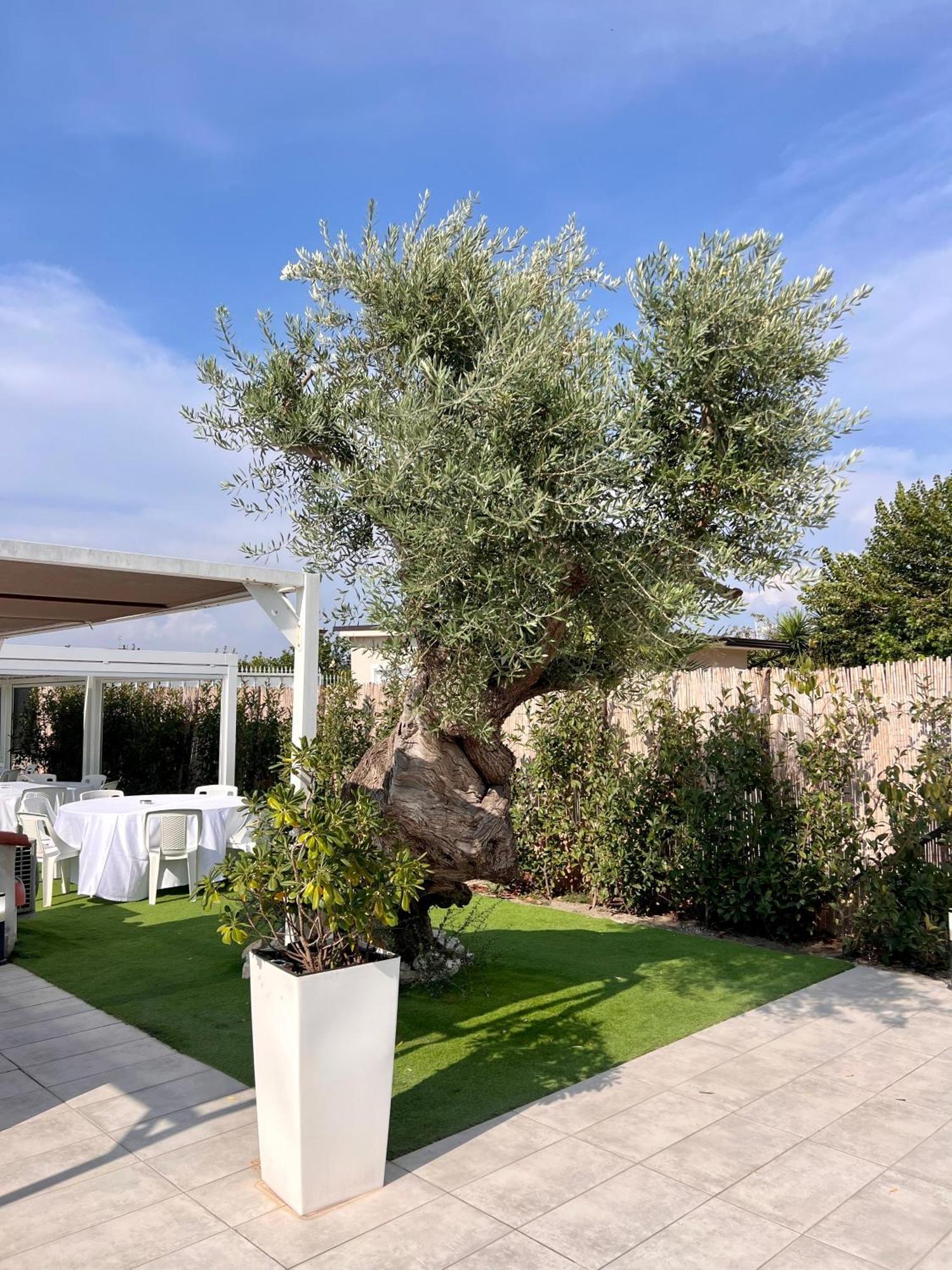 Villa Costantino ポンペイ エクステリア 写真